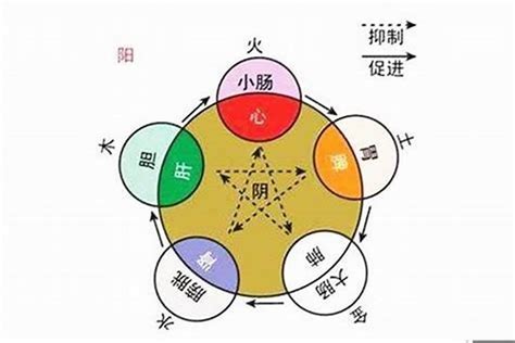 田五行|田的五行属什么,田字的五行属性,田的寓意